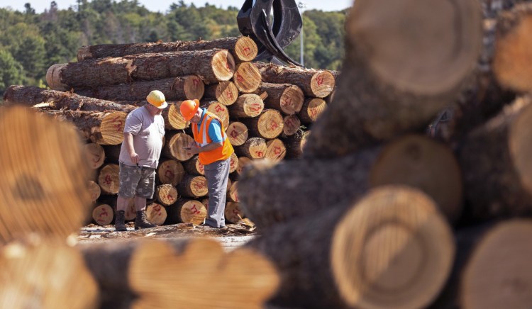 Scott King, left, a log scaler at Maine Biomass Exports, and Brian Souers, owner of log supply company Treeline, tally a delivery of logs at the former Verso Paper mill in Bucksport.