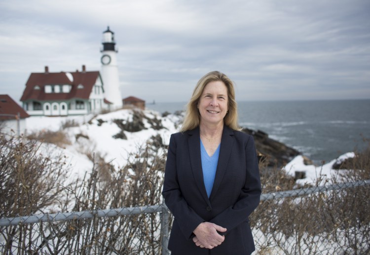 Anne Carney, of Cape Elizabeth, decided to run for political office after her adult daughter said she wouldn't want to bring children into a world where Donald Trump was president.