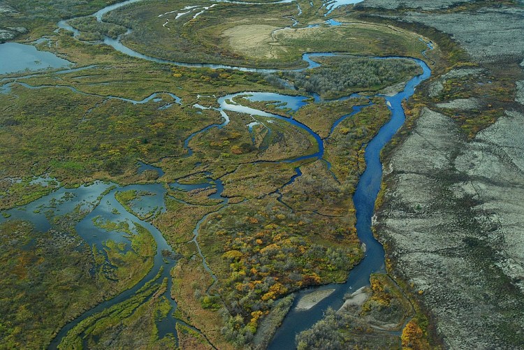 These braided wetlands and tundra in the Kvichak River watershed are typical of the Bristol Bay area.