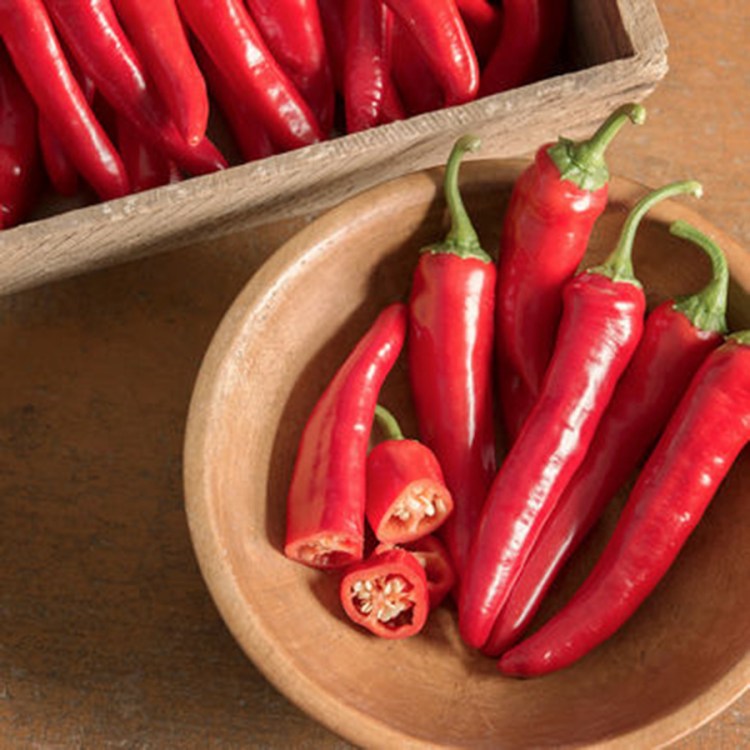 Red Ember cayenne peppers from Johnny’s Selected Seeds of Winslow. A nonprofit praised Red Ember for its early maturity, and its production of a large number of thick-walled fruits that are both flavorful and sweet.