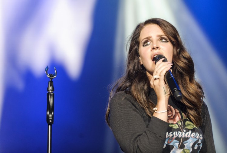 A man arrested near Lana Del Rey's concert in Orlando is charged with stalking and attempted armed kidnapping.