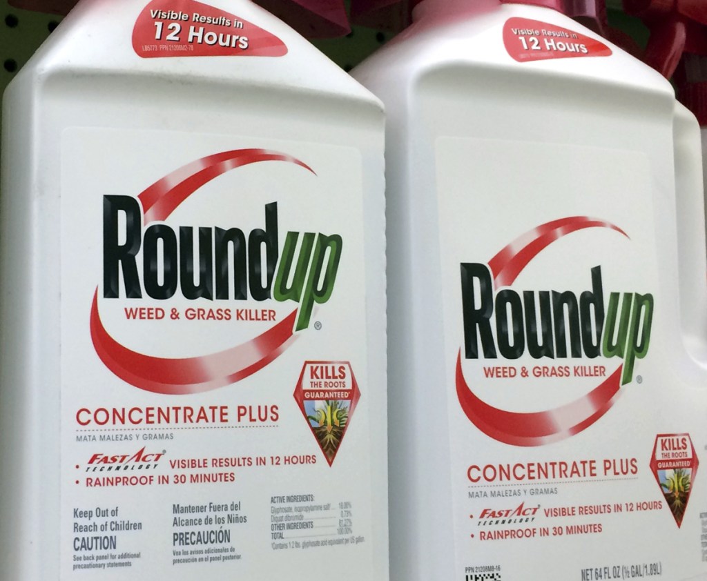 Monsanto's weed killer Roundup contains glyphosate, which some scientists say has been linked to cancer in humans.