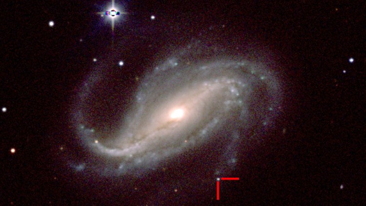 A supernova is indicated by a red pointer, in the galaxy NGC-613.