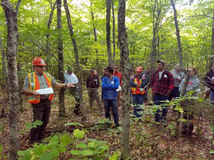 Gaetan Pelletier of the Northern Hardwoods Research Institute describes beech disease to members of the University of Maine Cooperative Forestry Research Unit in Aroostook County.