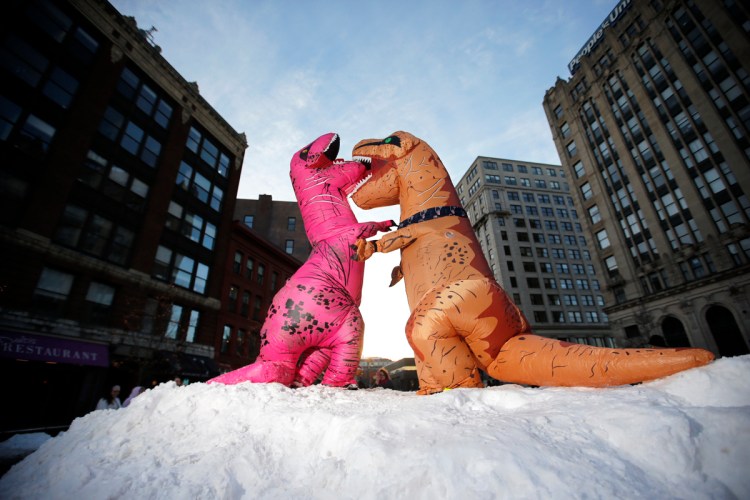 Costume-clad Diane Aceto, left, of Sebago, and Stacey Smith of Stratford, Connecticut, pretend wrestle at the top of a snow mound in Monument Square. Dozens of Tyrannosaurus rex-costumed people and onlookers flooded the Square as part of a planned event. 