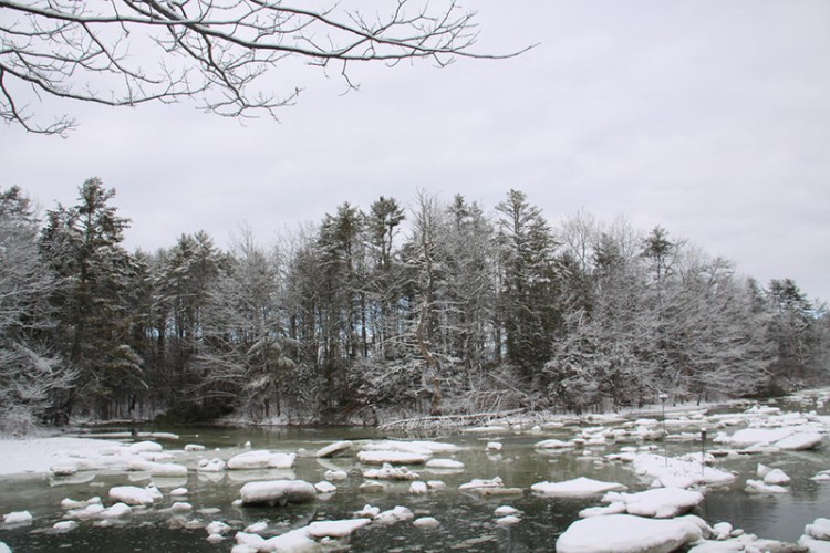 A buffer of trees on the bank of a Cousins River estuary and another line of trees at the northernmost edge of David DeLorme's 17-acre property are what now stand between Sisquisic Trail and Route 1 in Yarmouth.