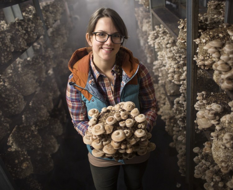 Emily Sharood of Mousam Valley Mushrooms in the shiitake grow room at the farm in Springvale.