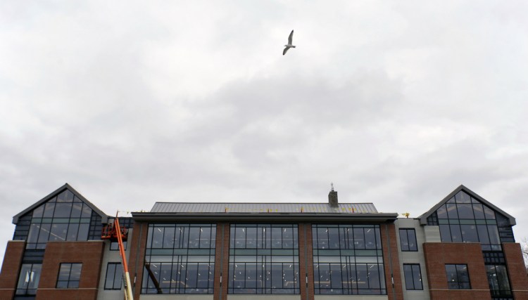 A seagull flies past the University of New England's newly dedicated student commons. The Danielle N. Ripich Commons features bird-proof glass to prevent collisions as birds migrate down the nearby Saco River.