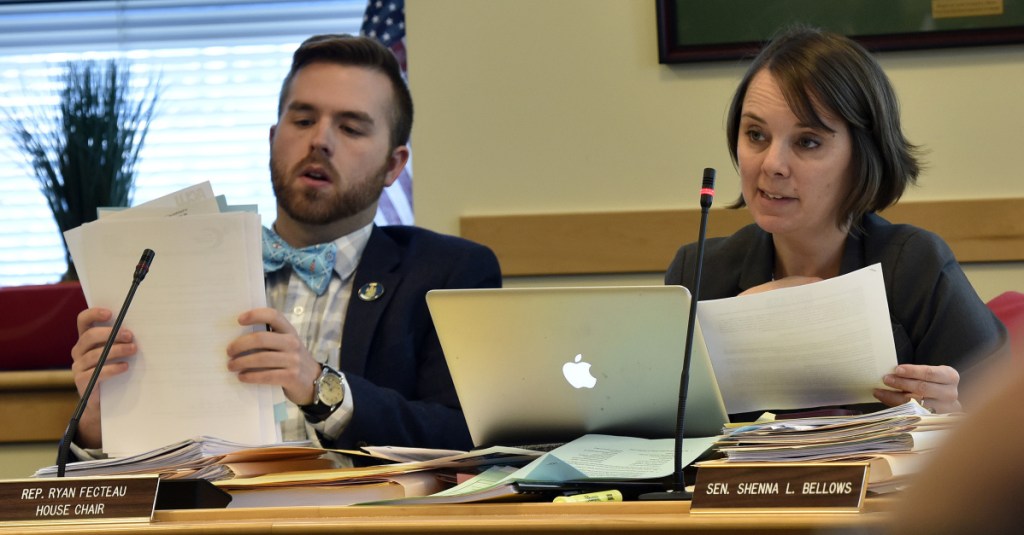 Joint Legislative Committee members House Chair Rep. Ryan Fecteau and Sen. Shenna Bellows hold a hearing in Augusta in February.