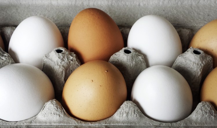 Pullet eggs in a carton, with large eggs behind them to show the size difference. You can still bake with pullet eggs, but you should use three for every two large eggs called for in a recipe.