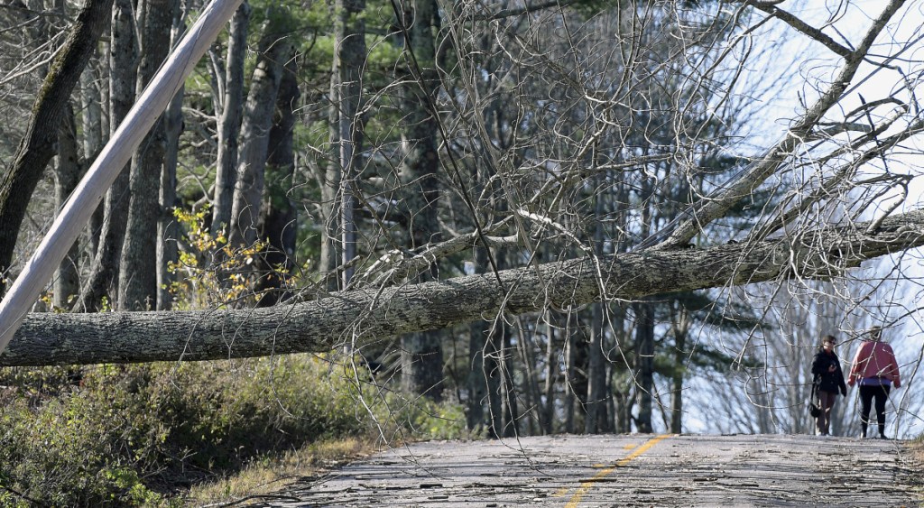 Residents survey a tree that toppled across the road in Litchfield last October 31 during a storm that knocked out power to hundreds of thousands of people across Maine.