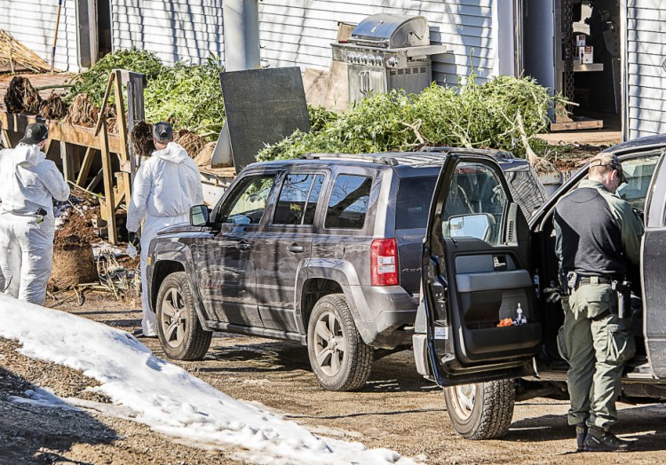 Law enforcement agents remove marijuana plants from a building on Lincoln Street in Lewiston in February. 