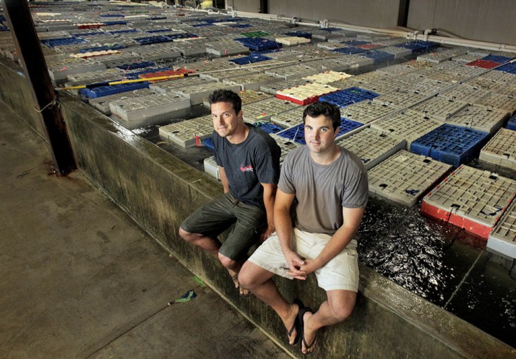 Brothers Brendan, left, and John Ready, seen in 2014, plan to remain with the business they founded in 2004.