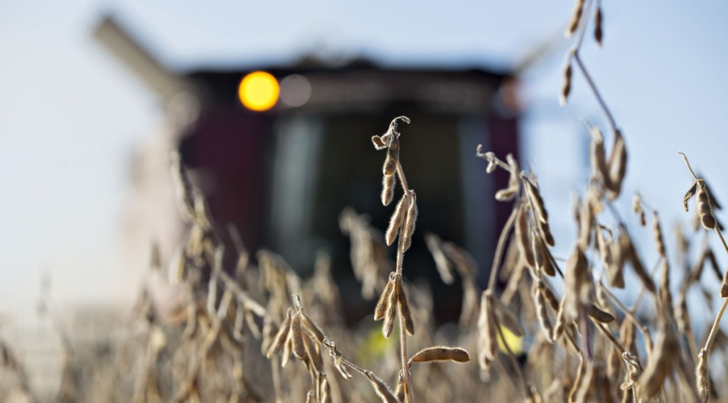 Soybeans are harvested in Princeton, Ill. President Trump's heated rhetoric may stir Beijing to make good on threats to implement levies on the crop.