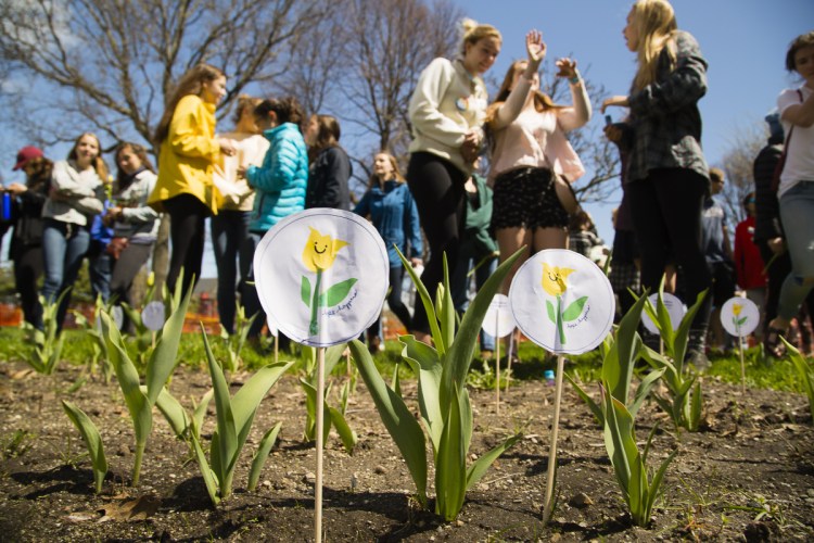 Paper tulip markers are placed in the garden at Lincoln Park in Portland after last year's Yellow Tulip Project walk. The group's founders say they are heartened by the surge in teens who are making suicide prevention a priority.