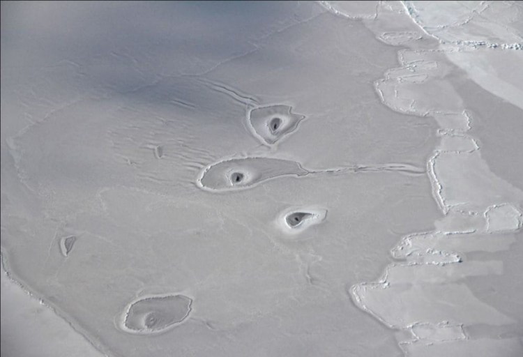 NASA's scientists have no idea what is causing three mysterious amoeba-shaped holes in a vast, unbroken sheet of thin Arctic sea ice.