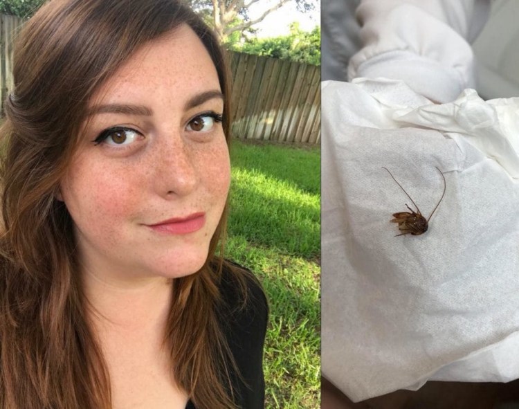 Katie Holley, 29, of Melbourne, Fla., says a roach crawled into her ear, and much of the insect's remains stayed there for nine days.