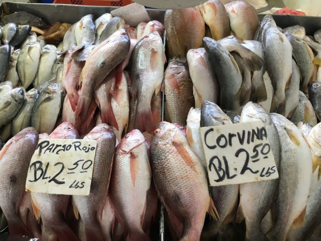 At left, red snapper and corvina drum at a fish market in Panama.