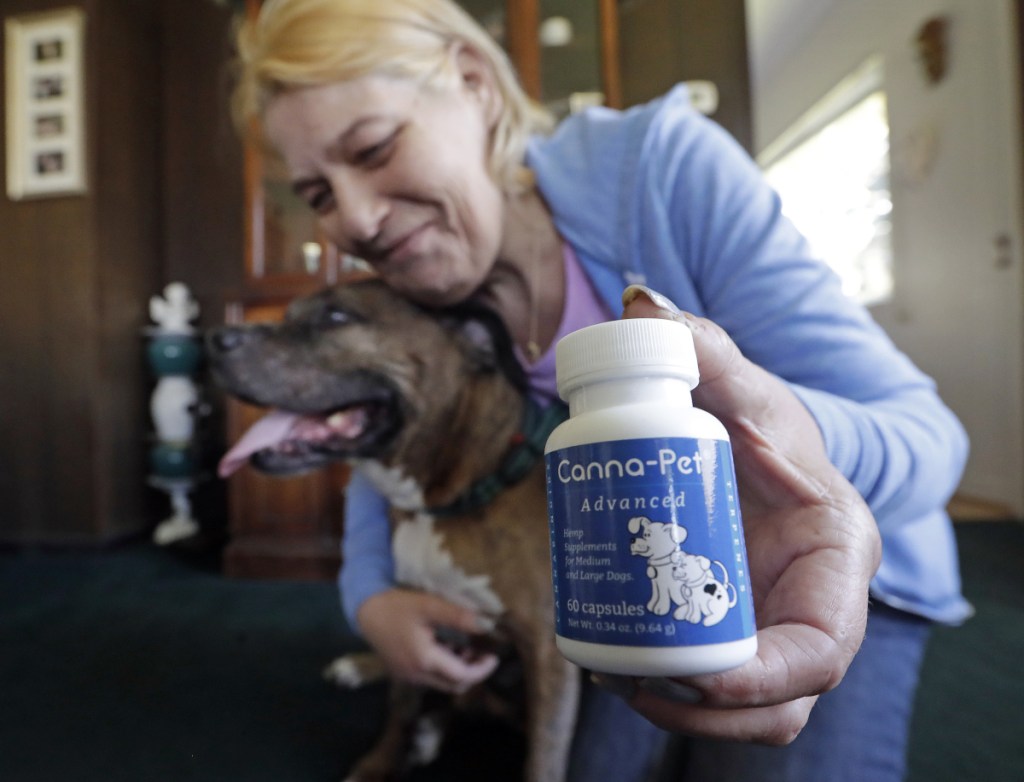 Associated Press/Elaine Thompson
Karen Rhodes of Seattle holds her aging dog Ransom as she displays the hemp-derived CBD supplements she gives him for hip pain.