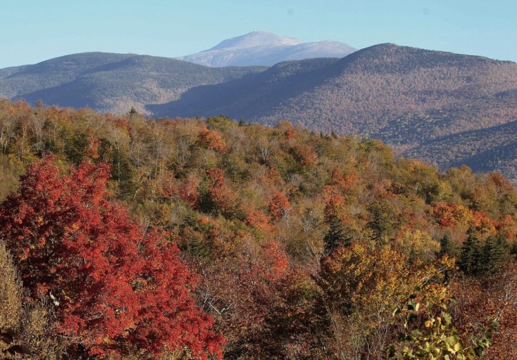 The White Mountain National Forest is visible from Hart's Location, New Hampshire. The U.S. Forest Service is marking the forest's centennial with a new exhibition on its history.