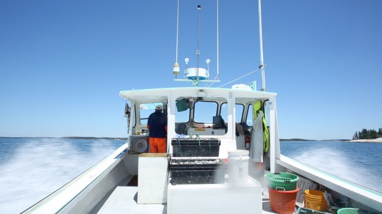 The National Oceanic and Atmospheric Administration is seeking public comment on a recommendation to require all federal lobster permit holders to report on catches for each fishing trip. Above, Andrew Gove speeds across Penobscot Bay in his lobster boat near Stonington in June 2014.