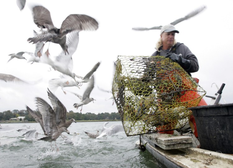 A crab fisherman works on Lynnhaven Bay in Virginia Beach, Va., in 2009, when the blue crab population was plummeting. A new report finds positive changes.