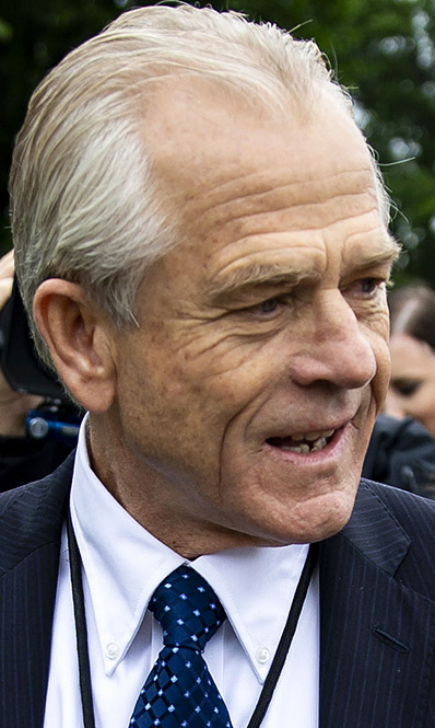 Peter Navarro, director of the National Trade Council.