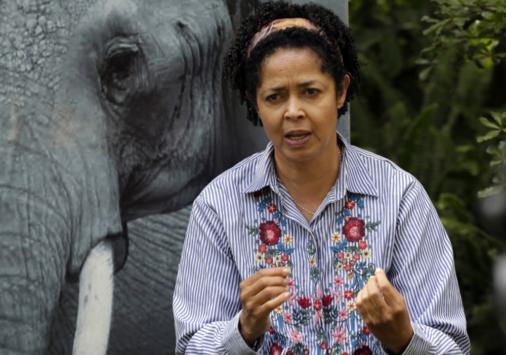 Paula Kahumbu, Chief Executive Officer of WildlifeDirect speaks to The Associated Press in Nairobi, Kenya Friday, July 13, 2018.  Eight critically endangered black rhinos are dead in Kenya following an attempt to move them from the capital to a national park hundreds of kilometers away, the government said Friday, calling the toll "unprecedented" in more than a decade of such transfers. Losing the rhinos is "a complete disaster," said Kahumbu. (AP Photo/Khalil Senosi)