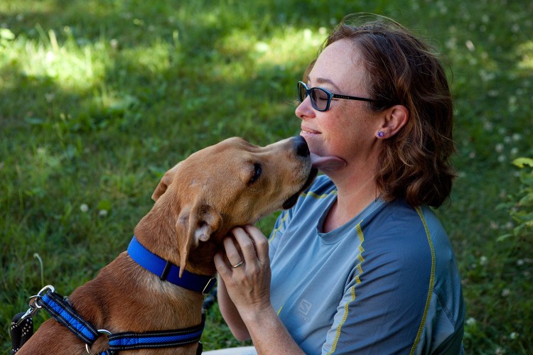 Andrea Shaw gets a kiss from Columbo, the puppy she rescued from Columbus, Georgia, at her home in Gorham on Friday. Bicyclists found the injured puppy and biked with him 7 miles into town, where Shaw happened to meet him. 