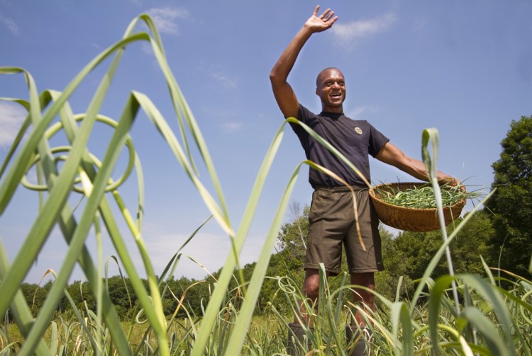 Craig Hickman waves to a neighbor on June 30, 2014, while picking garlic scapes on his Annabessacook Farm in Winthrop.