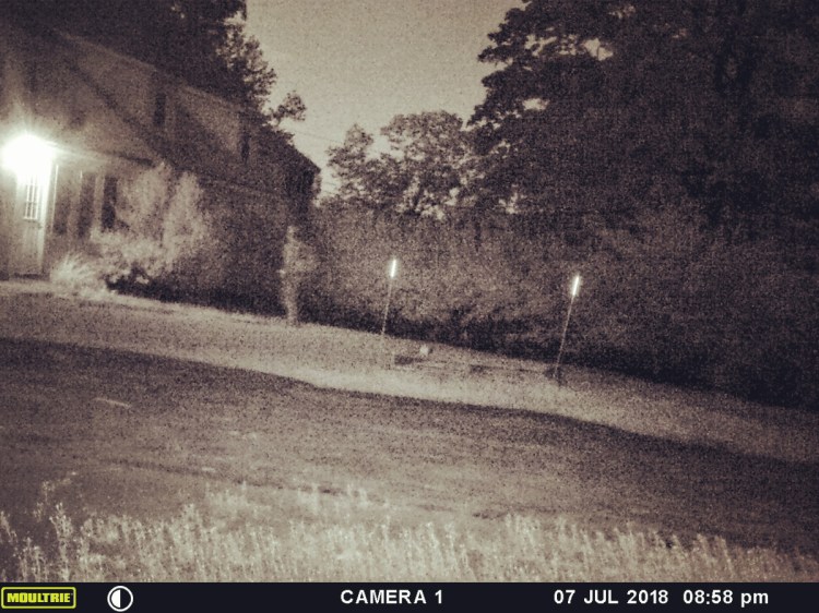 This lightened image was caught on Tia Wilson's motion-triggered game camera on Saturday night outside her Durham home. It appears to show a man with a rucksack standing near her front door. He is in one frame, but missing from the next frame taken by the camera 10 seconds later. 