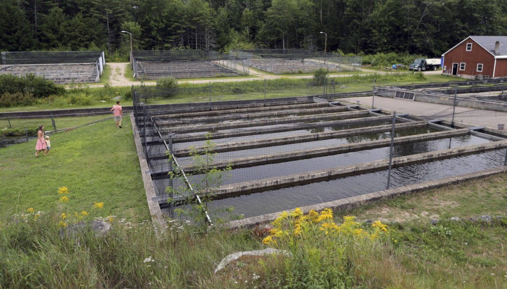 Visitors walk the grounds of the Powder Mill Fish Hatchery in New Durham, N.H. "This fish hatchery has polluted the rest of the river and all of the town's ponds to the point where we can no longer recreate in them," said retired toxicologist Fred Quimby.