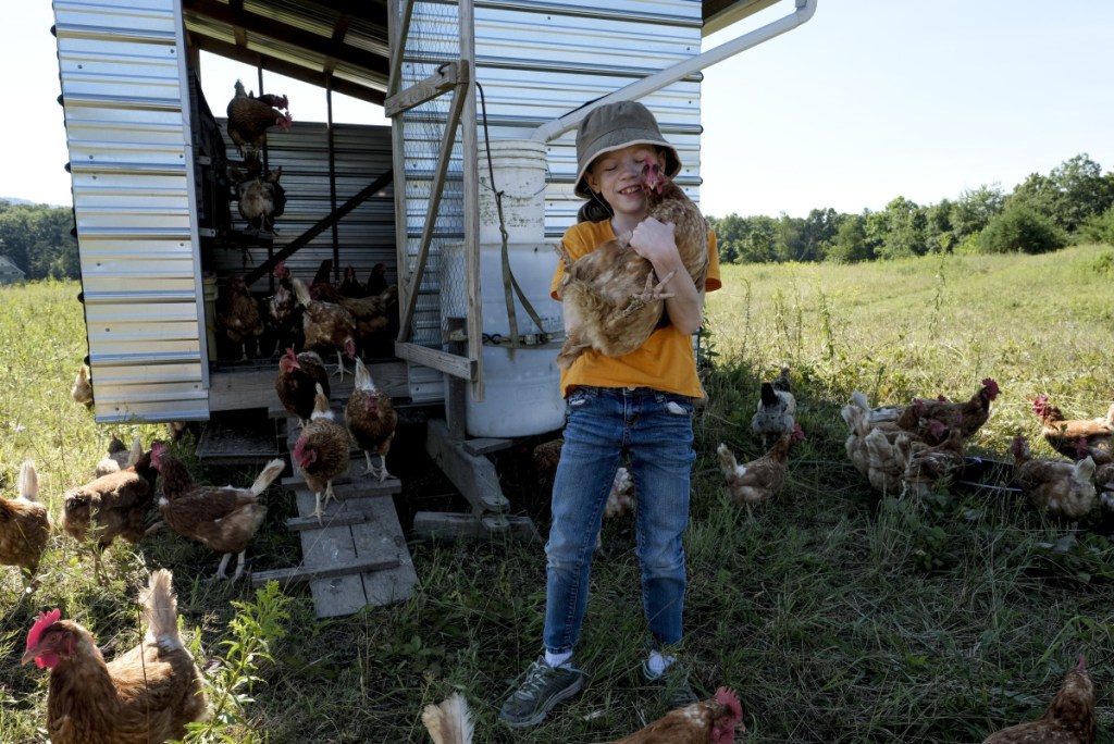 Sadie Yates, 9, hugs one of the chickens that her family raises at Broomgrass in Gerrardstown, W.Va., on July 19, 2018. MUST CREDIT: Washington Post photo by Bonnie Jo Mount.