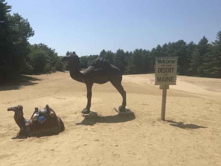 After nearly 15 years, Gary and Ginger Currens are selling their home at 95 Desert Road in Freeport and the dunes that come with it. The roughly 40-acre Desert of Maine, offered for $725,000, includes the "desert," a 48-site campground, a gift shop and a barn that is more than 225 years old.