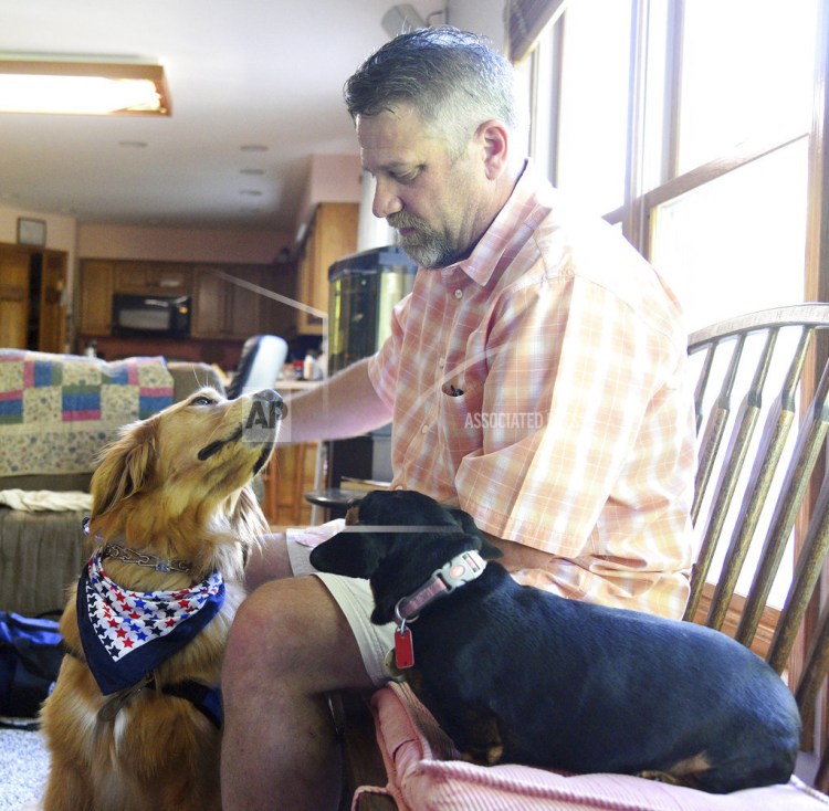 King of Glory Lutheran Church parishioner Matt Ponsolle pats the congregation's new comfort dog, Julia, left, in South Elgin, Ill. Her job is connecting with people – in schools, nursing homes and elsewhere.
