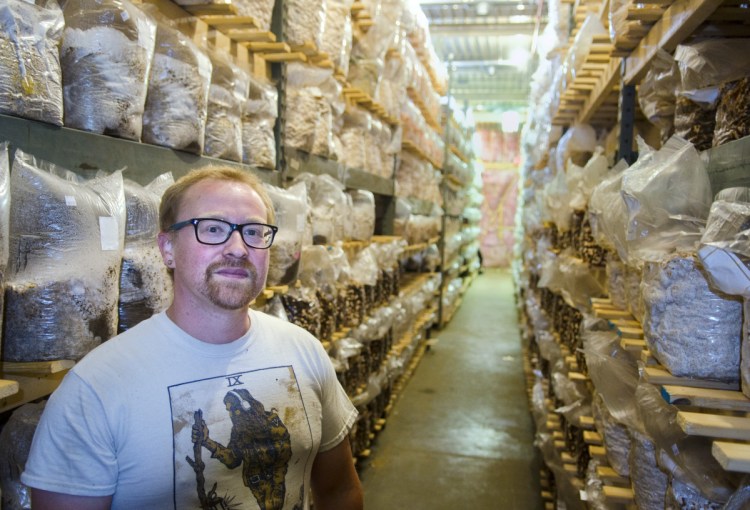 Mark Robinson stands among shelves full of inoculated mushroom substrates Friday at Maine Cap N' Stem Mushroom Co.