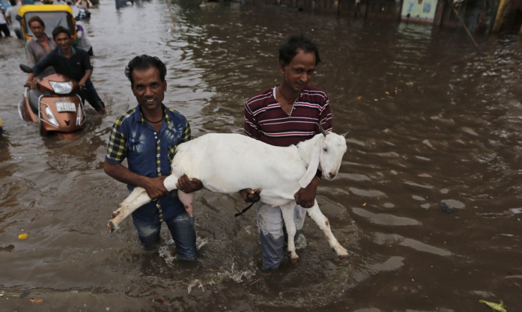 Men carry a goat after heavy rainfall Friday in Ahmadabad, India. More than 300 people have died and more than 220,000 have taken refuge in state-run camps following eight days of heavy rainfall.