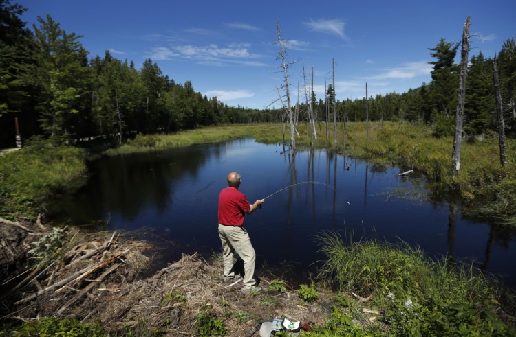 A visitor to the Katahdin Woods and Waters National Monument casts for brook trout in a small pond. The National Park Service this month requested bids for 16 secondary road signs that will be installed this year.