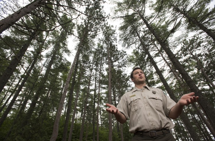 Baxter State Park's new director, Eben Sypitkowski, takes the job as the park's escalating popularity poses a threat to what makes it so special, including its primitive facilities and disconnection from the digital world.