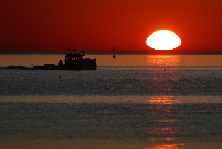 A lobster boat heads out to sea at sunrise. New data indicate that the Gulf of Maine, one of the fastest warming bodies of water in the world, is in the midst of an all-time hot stretch.