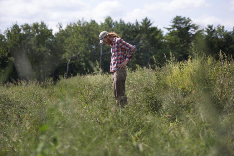 Ian Jerolmack, owner of Stonecipher Farm in Bowdoinham, lost half his crops this year because migrant workers he expected from Mexico never made it to Maine.