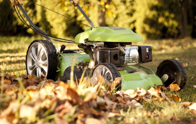 The easiest way to take care of autumn leaves that have fallen on your lawn is to mow with a mulching mower, then let the finely cut leaves decompose over the winter, providing nutrients to the lawn.