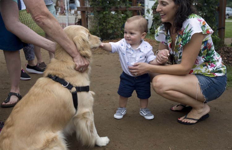 Ashley Tomlinson of Norwalk, Conn., holds her son Blake, 1, as he pets a golden retriever named Callie at the Crystal Spring farmers market in Brunswick on Aug. 18. Crystal Spring is believed to be the first outdoor farmers market in Maine to enact a ban on dogs.