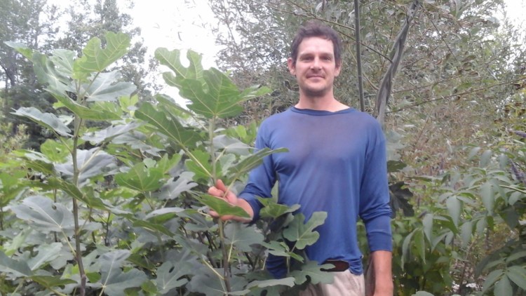 Jesse Stevens will give the talk “Figs, Kiwis and Honeyberries” Saturday at the Common Ground Country Fair.