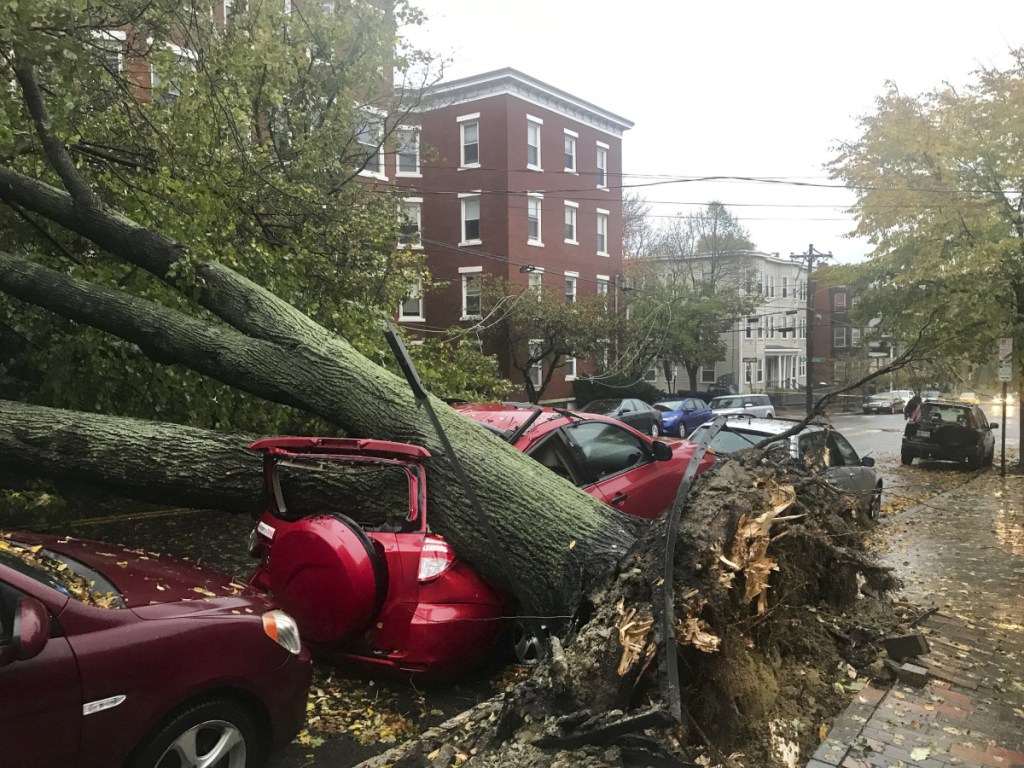 An uprooted tree fell on a vehicle parked along Mellen Street in Portland during the late October windstorm, which cut power to about 557,000 customers in the state.