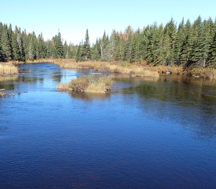 The upper St. John River flows at the outlet of Baker Lake, located in northwestern Maine forestland held by The Nature Conservancy. Maine's more than 17 million acres of forest are primarily privately owned.