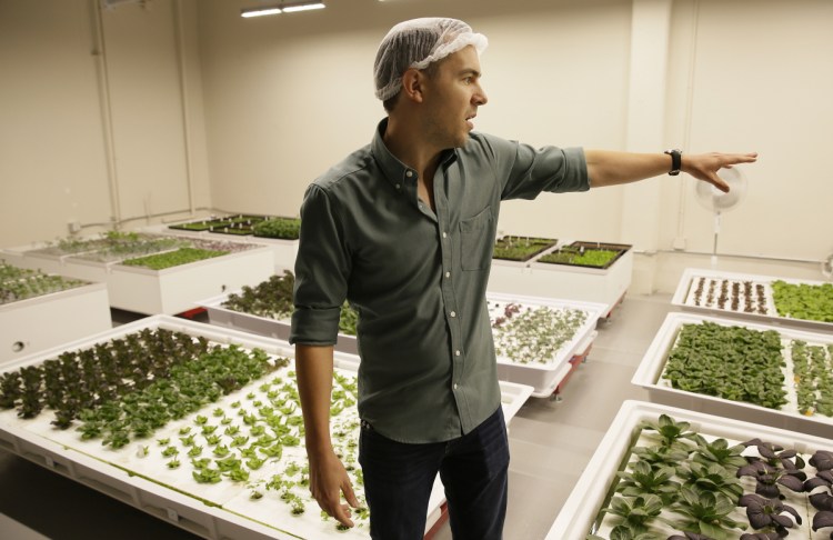 Iron Ox CEO Brandon Alexander looks out at his robotic indoor farm in San Carlos, Calif. 