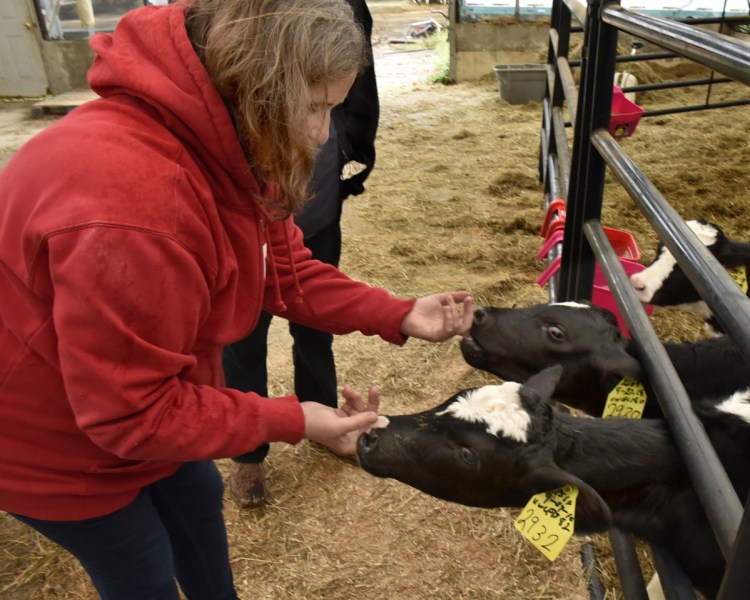 Liz Hilton interacts with calves Tuesday at Hilton Farms in Norridgewock. The farm earned the Green Pastures Award for its effort "to do things right," an industry spokesperson said.