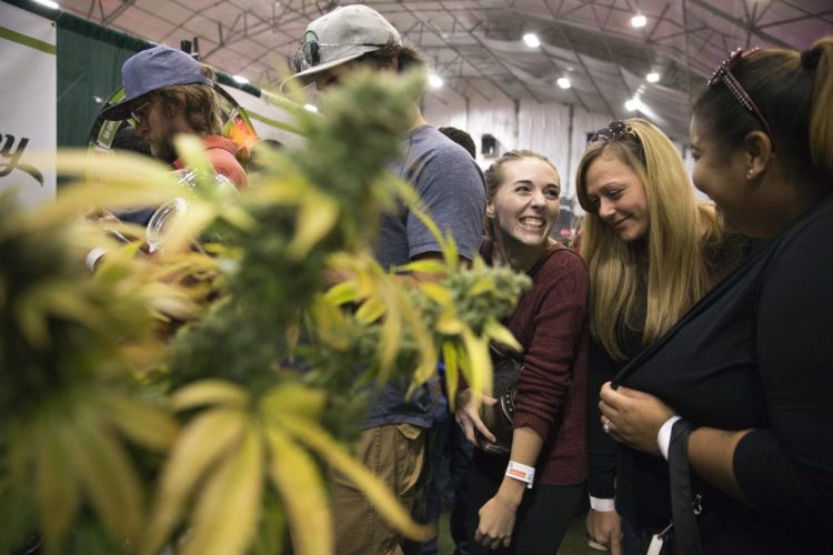 People wait in a line at the Maine Cannabis Convention in 2017 in Portland. This year's convention is scheduled this weekend at the Portland Sports Complex.
