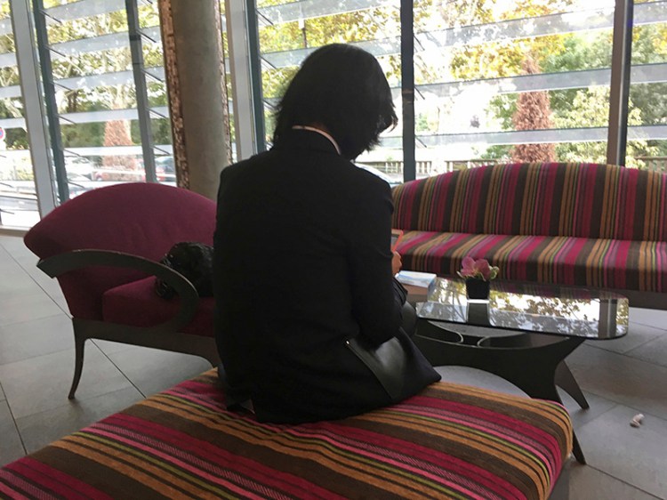Grace Meng, the wife of missing Interpol President Meng Hongwei, who does not want her face shown,  in Lyon, France, where the police agency is based in early October.